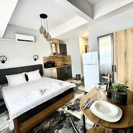 студио влас 2